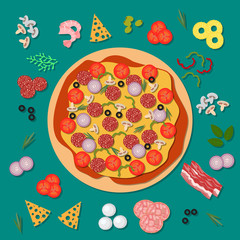 Delicious pizza with salami, cheese, tomato and other ingredients