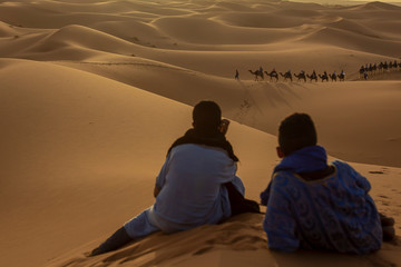Locals in the desert 