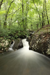 Obraz premium Mountain Stream