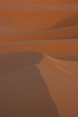 Desert colors