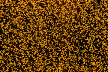 The background of Golden snowflakes on glass