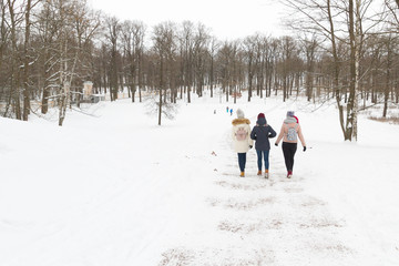 Fototapeta na wymiar Walk in the Park in winter in frosty weather