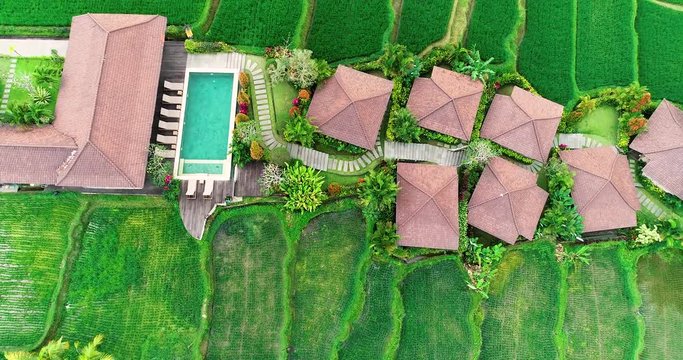 Aerial top view of rice fields and comfortable houses for living and recreation in Bali. 4K