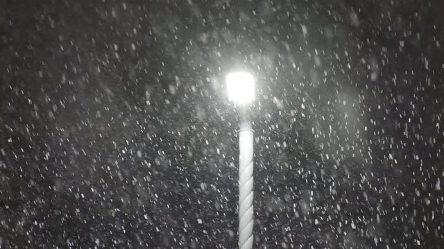 Winter snowfall. Snow Slow motion filmed at 125fps outdoors with studio lighting