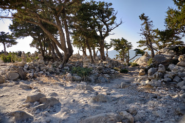 Trees and cairns inside the Monolithos castle in Greece