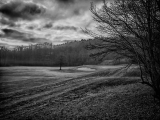 Obraz premium Dawn in the woods