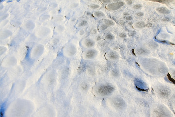 ice and snow natural landscape by the sea