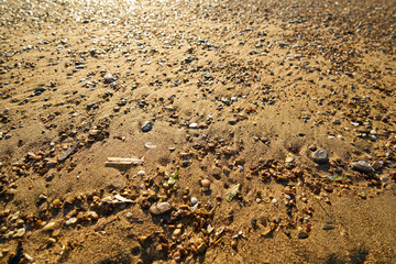 Beach sands texture and background