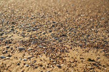 Beach sands texture and background