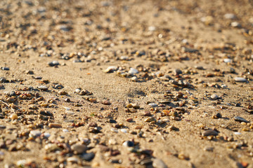 Beach sands texture and background