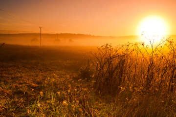 Fototapeta na wymiar Dawn, the hot sun rises over the field, power line