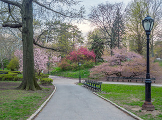 Central Park, New York City in spring