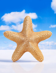Fototapeta na wymiar Starfish over sky