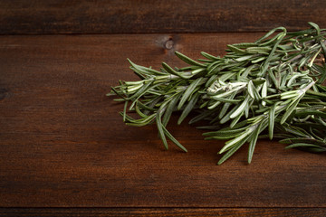 closeup fresh rosemary herb