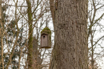 Vogelhaus hängt an einem Baum