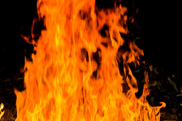 Fire flames on black background. - Image