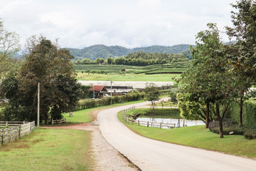 Beatiful nature landscape view of northern part of Thailand countryside rural scene used for farming or left in its natural condition.