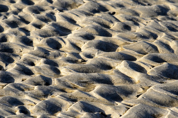 Bilder der Nordsee am Strand von Langeoog, Insel