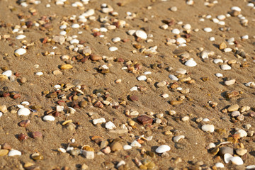 Beach sands texture and background