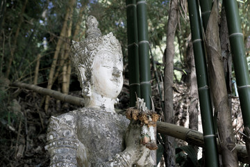 statue of buddha in thailand