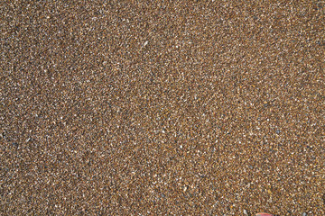 Beach sands texture and background