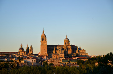 Fototapeta na wymiar 夕日を浴びるサラマンカ大聖堂（スペイン）