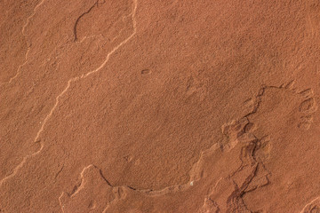 brick wall background