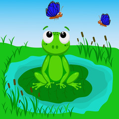 Fototapeta premium frog in the swamp - vector illustration, eps