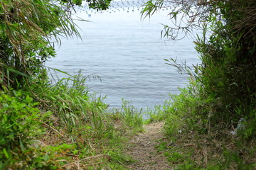 海へ続く道