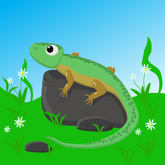 Obraz premium lizard on stone - vector illustration, eps 