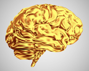 anatomical human brain, mesh vector, scientific article design and medical booklet