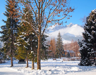 Beautiful winter landscape: a snowy road, trees in the snow, a hotel in the ski resort Tatranská Lomnica, and in the distance are the High Tatras Mountains, Slovakia.