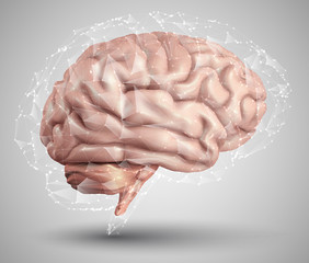 human brain and abstract design elements. mesh vector