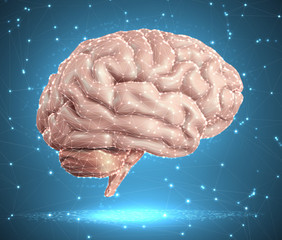 human brain and abstract design elements. mesh vector