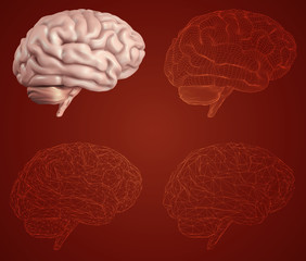 human brain. Vector set in different styles. meshe