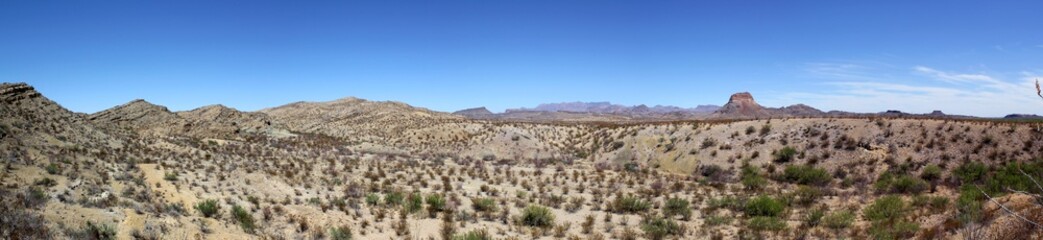 Fototapeta na wymiar Panoramic view of the Chihuahuan Desert in Big Bend National Park, USA