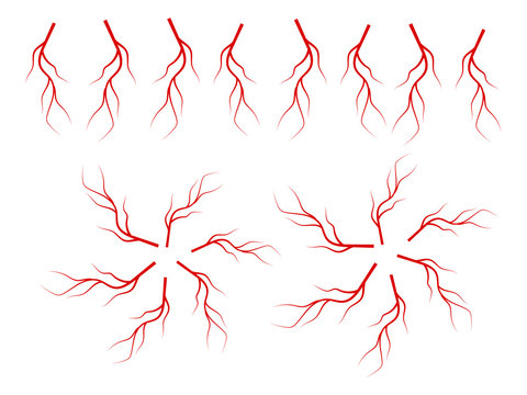 Human blood veins. Anatomy human arterial blood system