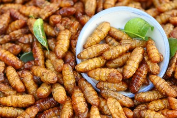 Fried insect at street food