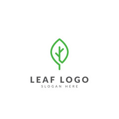 Leaf logo template vector design with green leaf line