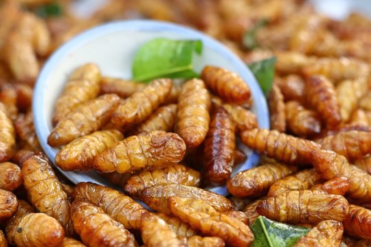 Fried insect at street food