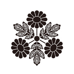 家紋　菊