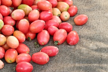 tomatoes at the market