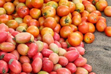 Naklejka na ściany i meble tomatoes at the market