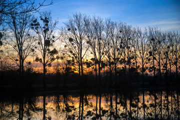 Coucher de soleil sur le fleuve