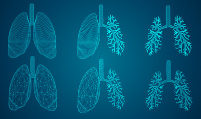 Vector set 3D lungs and bronchus. on color background. Element for medical design.