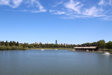 Fototapeta na wymiar City Skyline Over Trees, William Hawrelak Park, Edmonton, Alberta