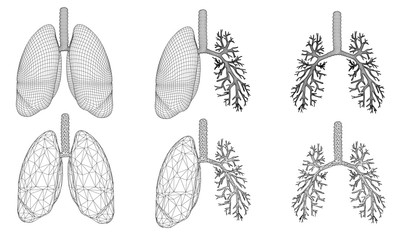 Vector set 3D lungs and bronchus. Isolated on white background. Element for medical design.