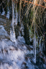 Invierno en Sierra Nevada