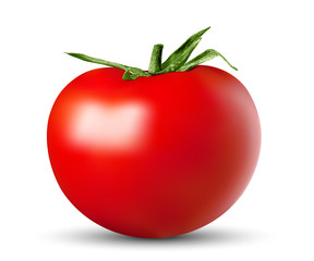 vector red ripe tomato lies on a white background