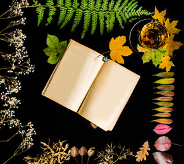 book and all the seasons of leaves and plants
